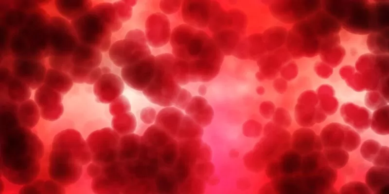 badanie żywej kropli krwi