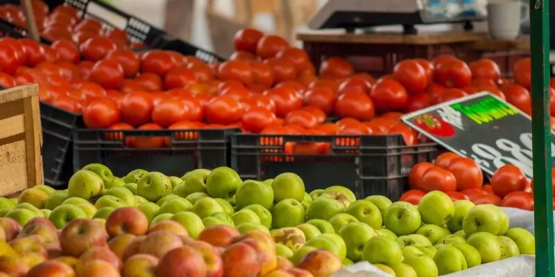 pomidory wydolność płuc