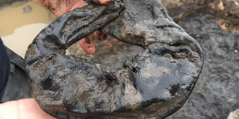 rękawice bokserskie